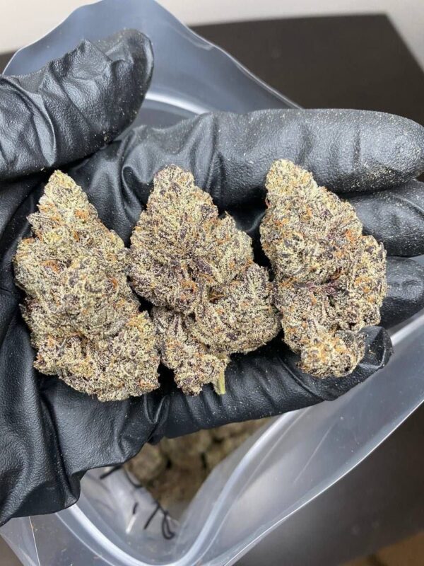Cannabis – Image 3