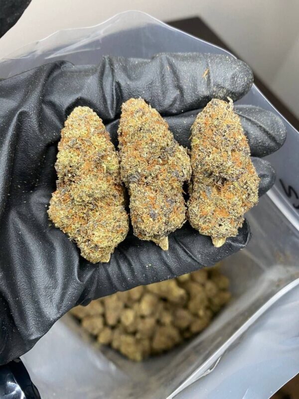 Cannabis – Image 5