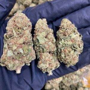 Cannabis